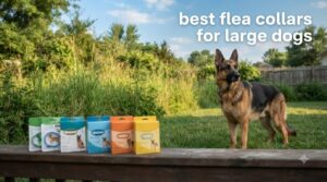 best flea collars for large dogs