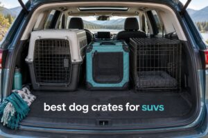 best dog crates for suvs