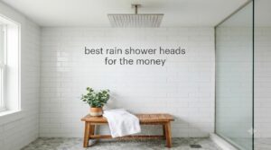 best rain shower heads for the money