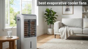 best evaporative cooler fans