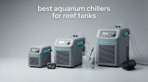 best aquarium chillers for reef tanks