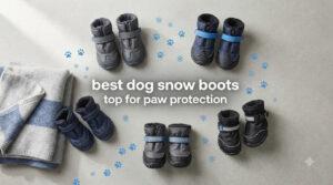 best dog snow boots top for paw protection