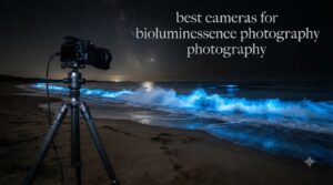best cameras for bioluminescence photography
