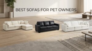 best sofas for pet owners