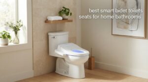 best smart bidet toilets seats for home bathrooms