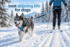 best skijoring kits for dogs