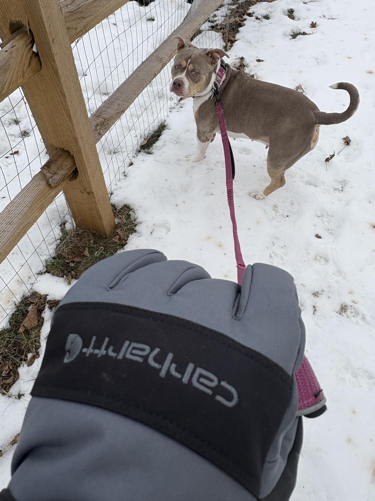 Carhartt Insulated Knit Cuff Glove customer photo 2