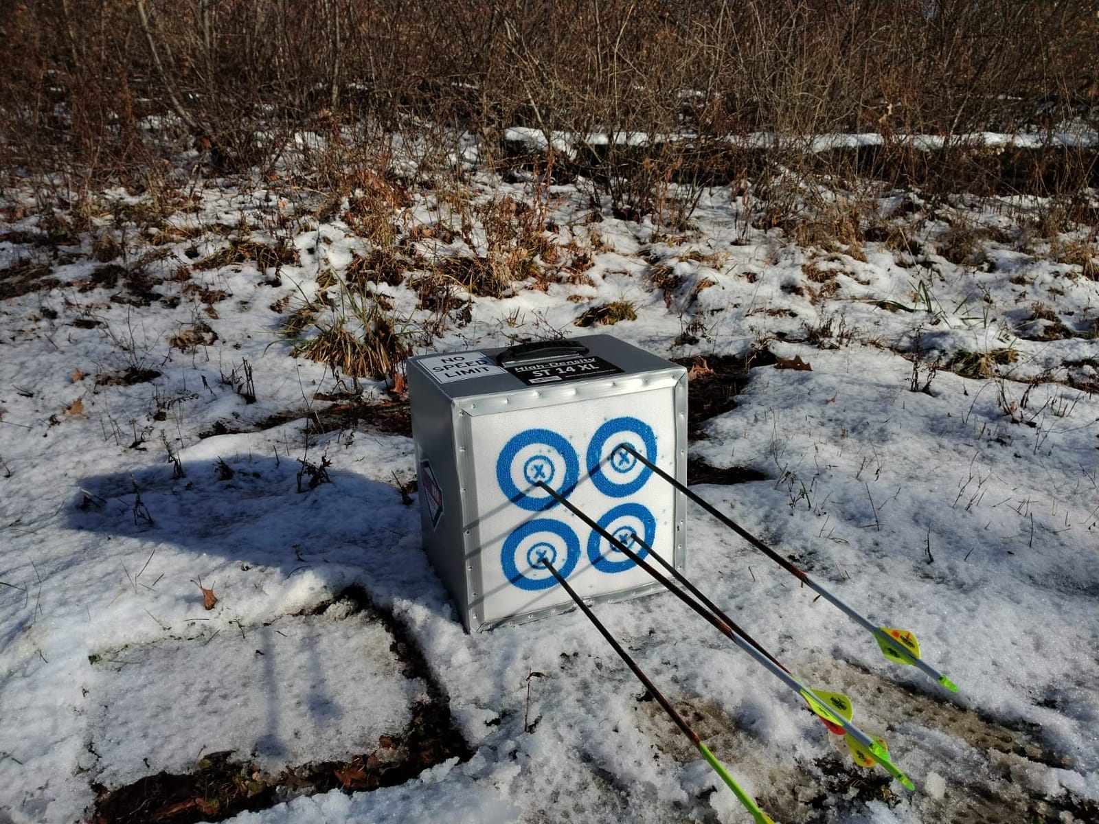 SpyderWeb 14XL Portable Crossbow Target, No Speed Limit™, Easy Arrow Pull customer photo 1