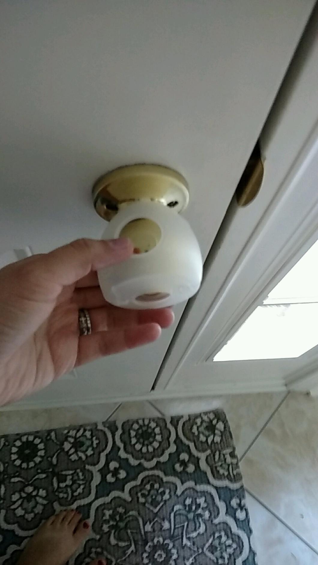 Dreambaby Door Knob Safety Cover for Kids - EZY-Fit - 3 Pack - Child Proof customer photo 2