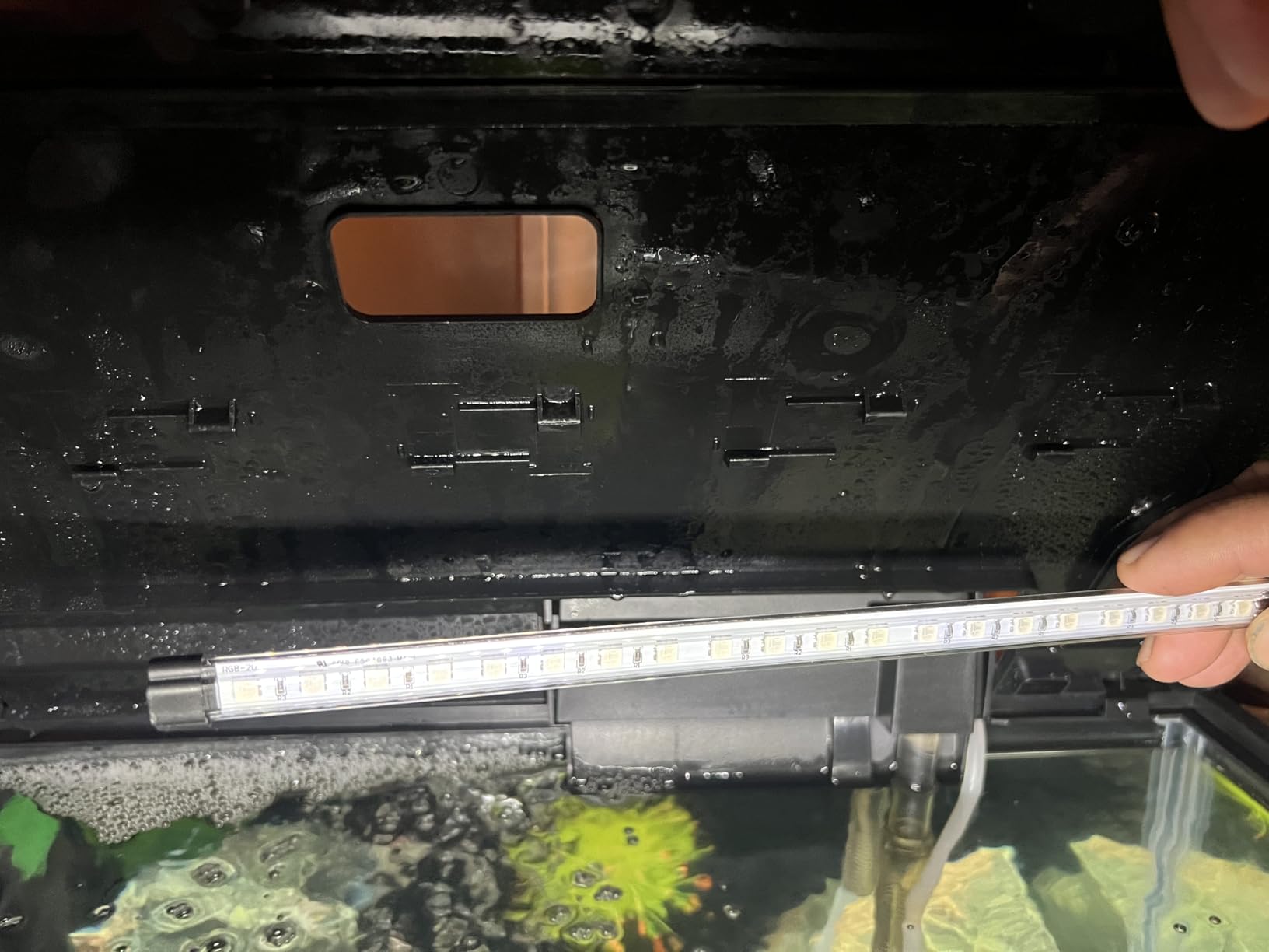 Tetra Color Complete 20 Gallon Fish Tank Kit for Freshwater, Saltwater Fish customer photo 1