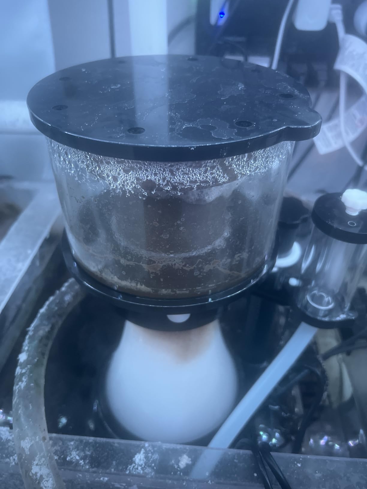 Simplicity 240DC Protein Skimmer for Saltwater Aquariums customer photo 2