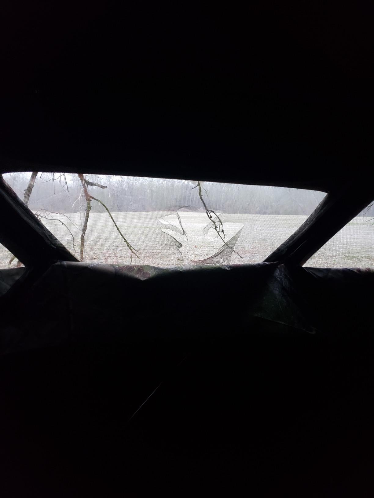 Barronett Blinds RA200BW Radar Pop Up Portable Blind, Bloodtrail Backwoods Camo, 67” x 71” x 71” customer photo 1