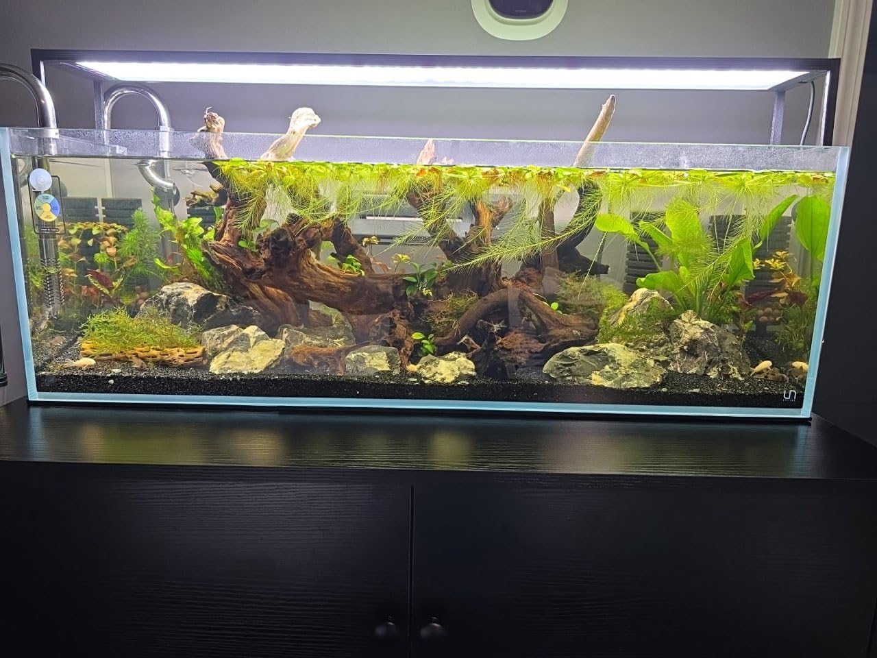Ultum Nature Systems Ultra Clear Rimless Aquarium - Low Iron Glass Fish Tank with 45° Mitered Edges, 5mm-12mm Thick, Leveling Mat Included (3N, Nano, 3 Gallon) customer photo 1