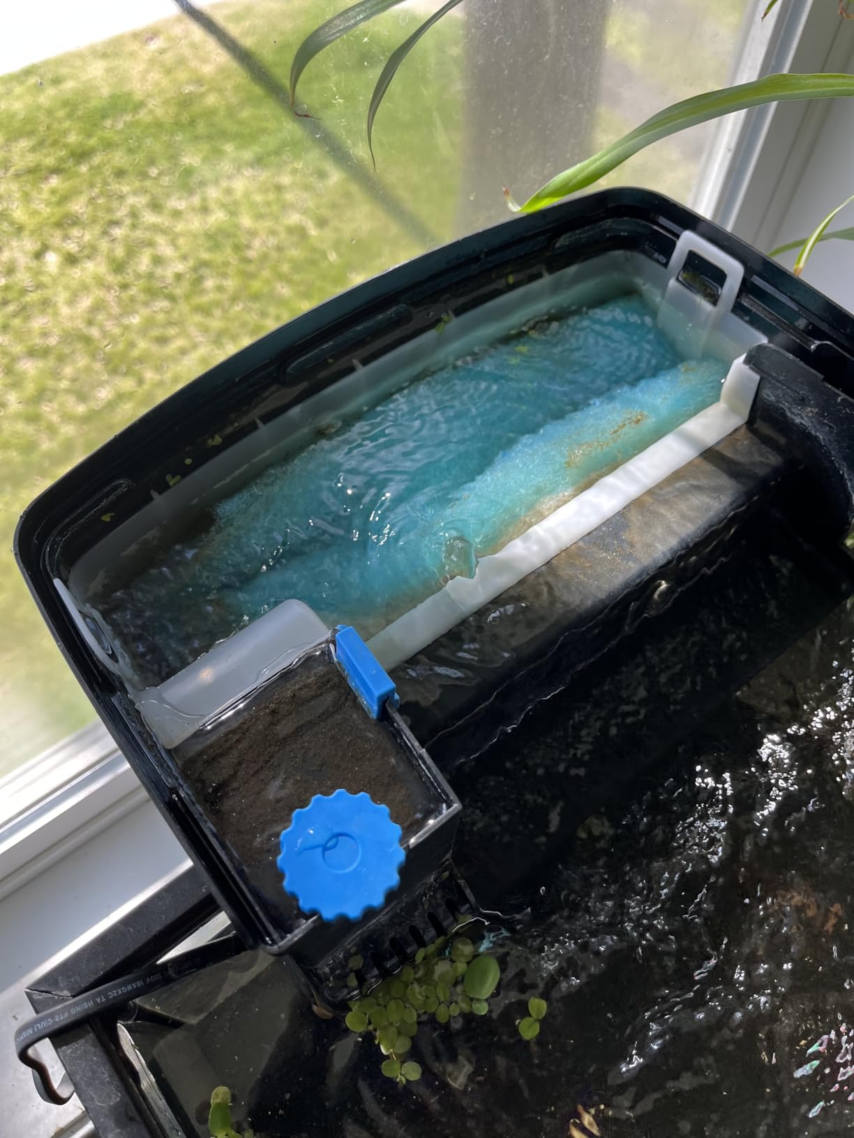 SeaChem – Large Aquarium Fish Tank Filter, Tidal 110 Gallon (400 Liters) by Sicce customer photo 2