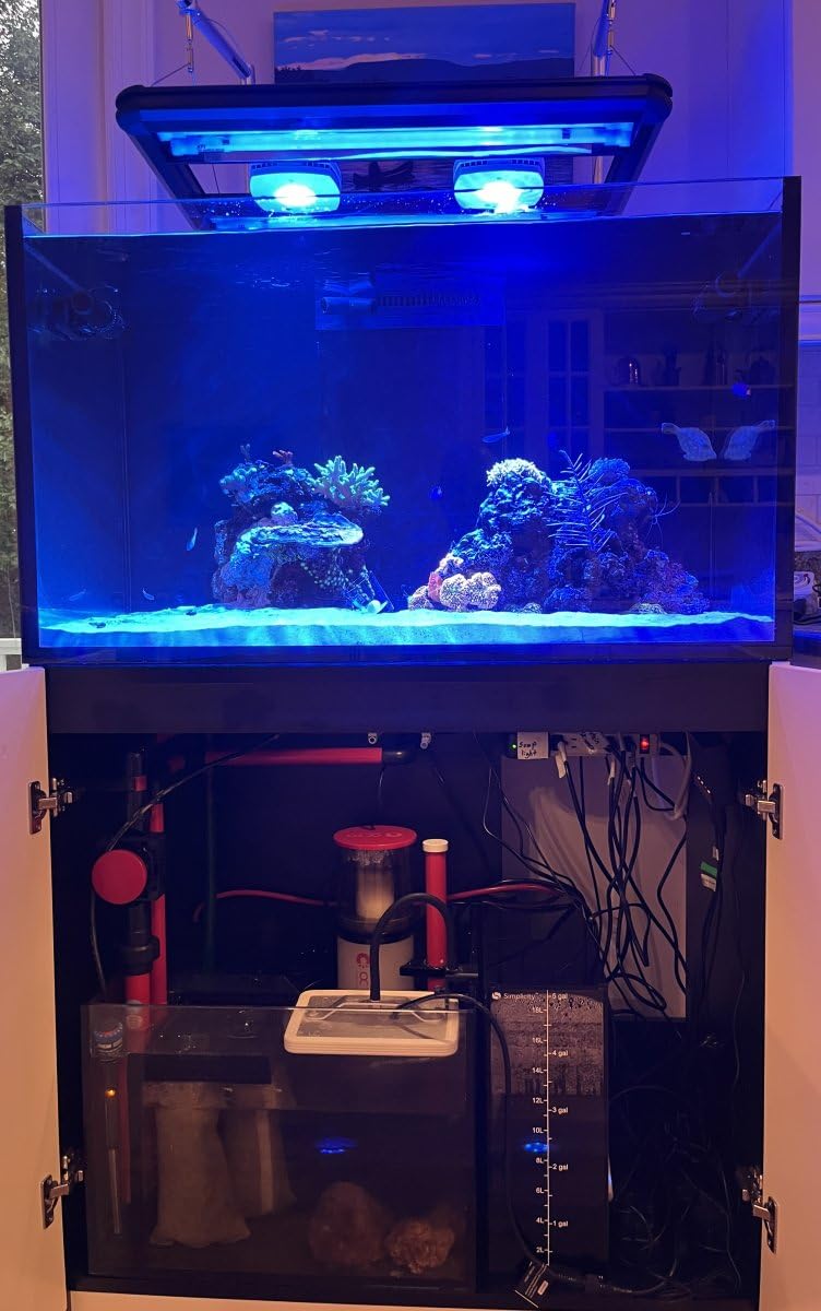 Reef Octopus Classic 150SSS Protein Skimmer customer photo 2