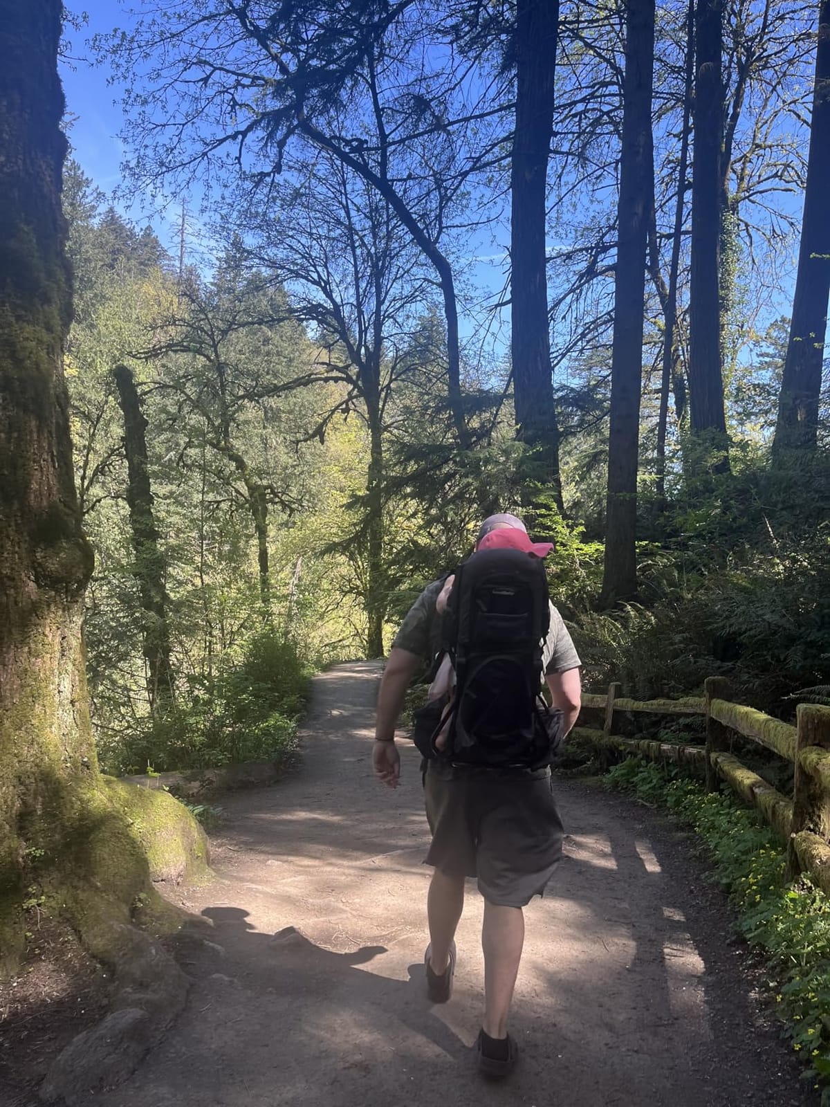 Hiking Baby Carrier Backpack - Toddler & Child Carrier customer photo 2