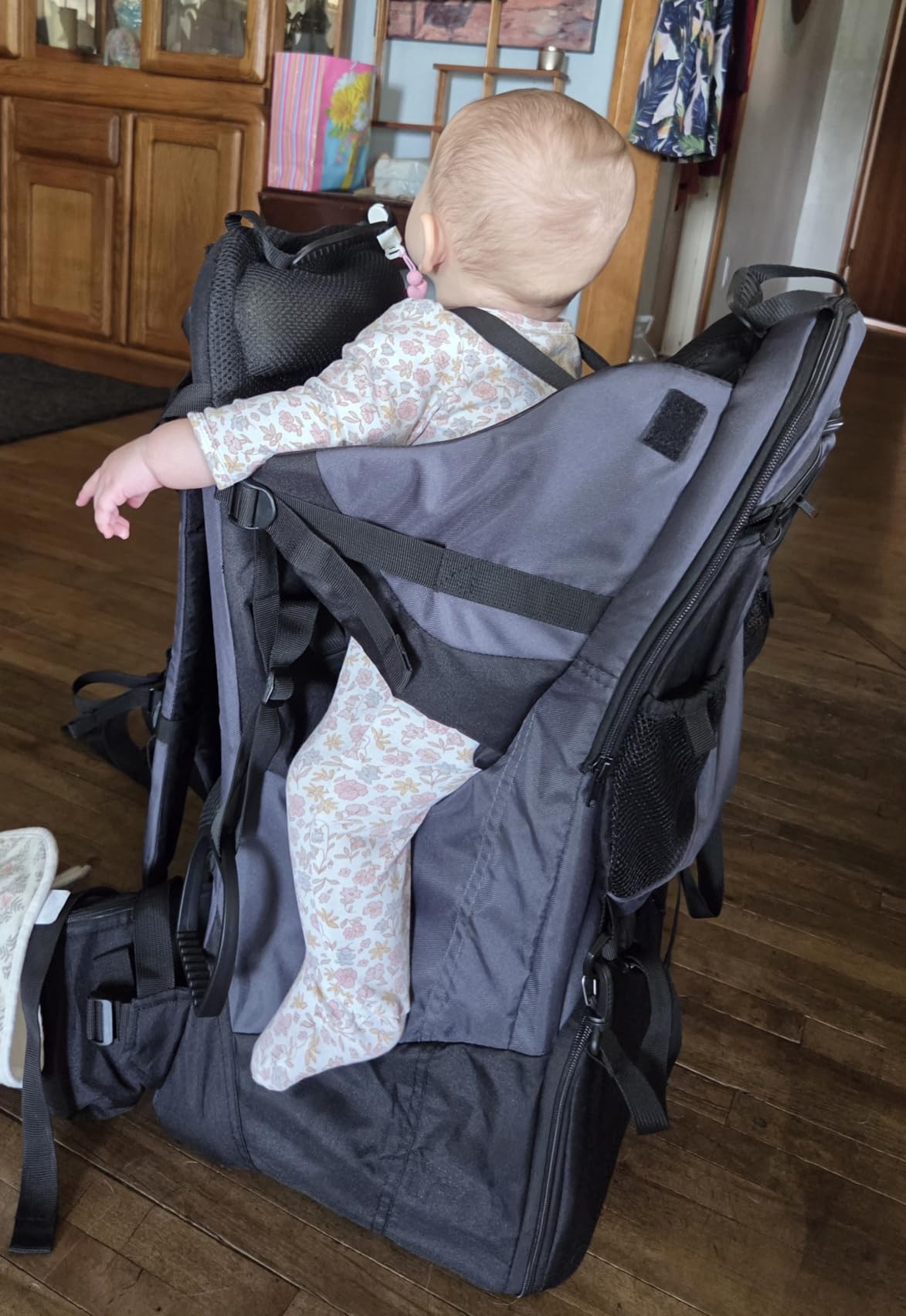 ClevrPlus Deluxe Adjustable Baby Carrier Outdoor Hiking Child Backpack Camping customer photo 2
