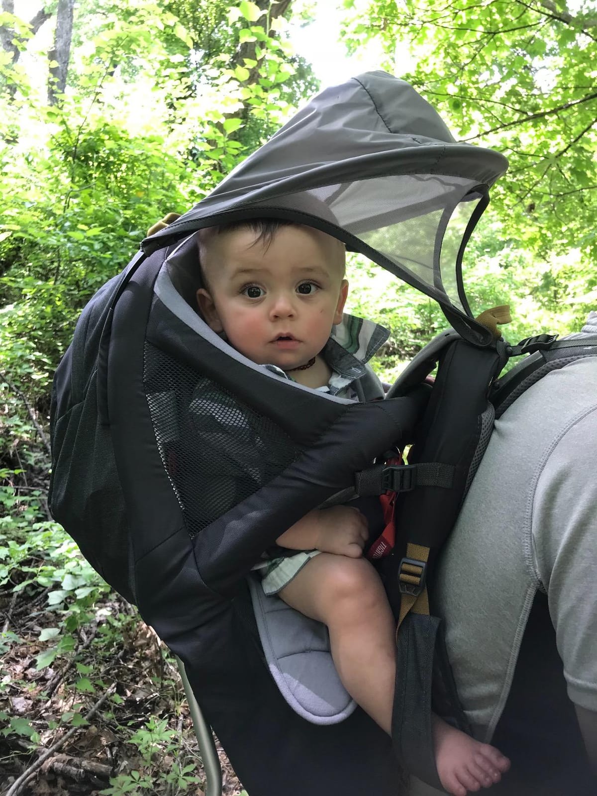 Kelty Journey Perfectfit Child Carrier Backpack customer photo 1