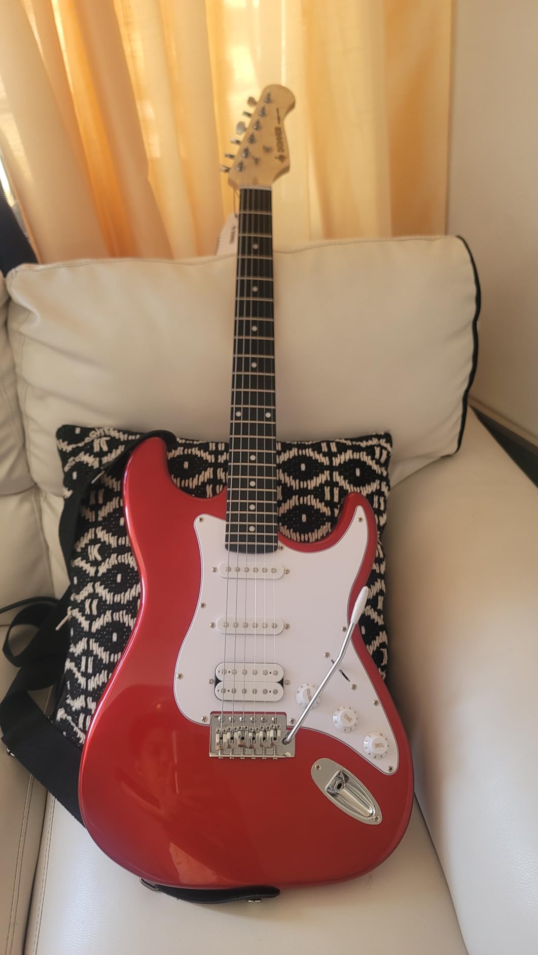 Donner DST-100S 39 Inch Full Size Electric Guitar Kit customer photo 1
