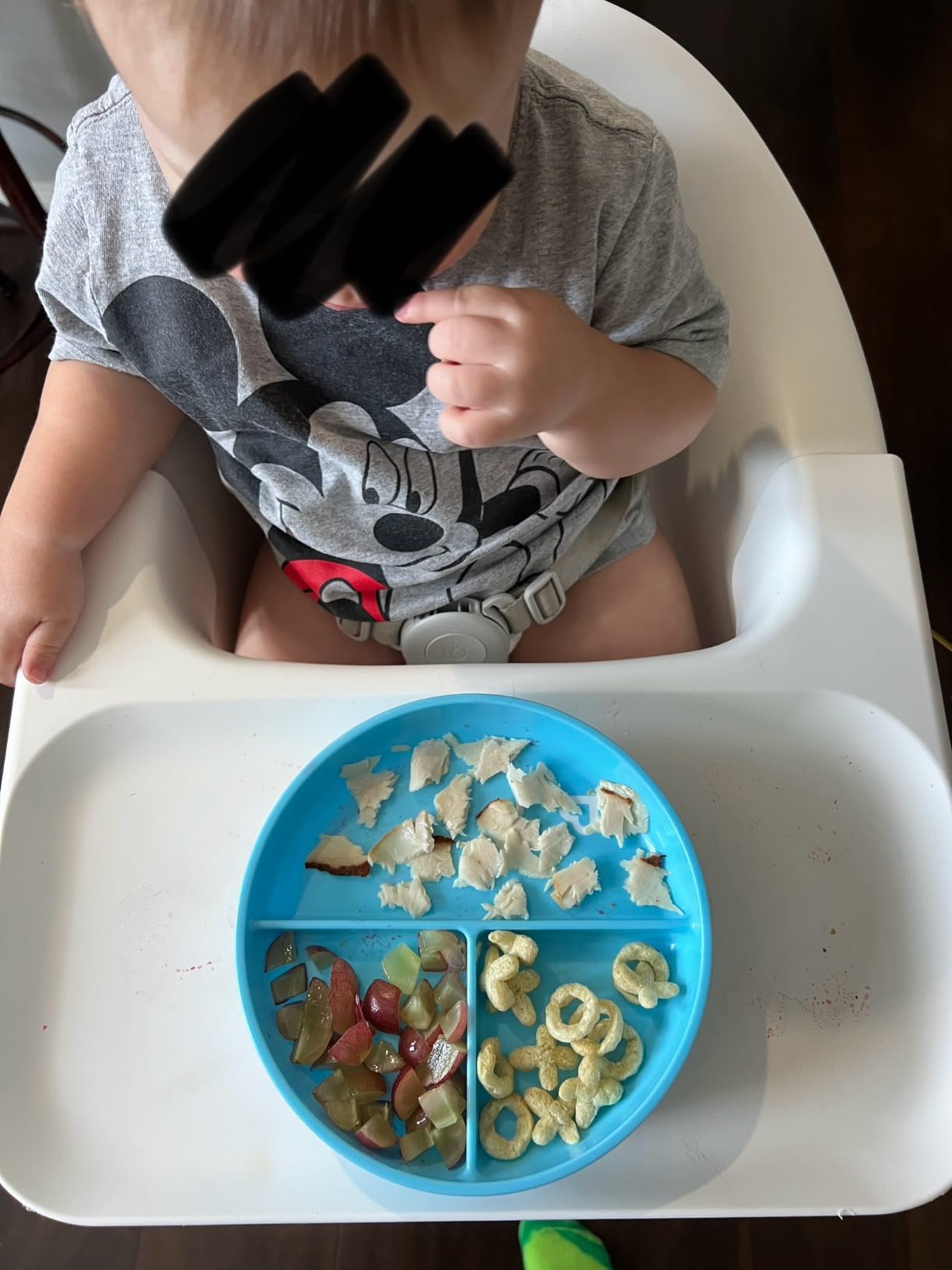 Munchkin Stay Put Suction Plates, 3 Divided Sections, Blue/Green customer photo 1