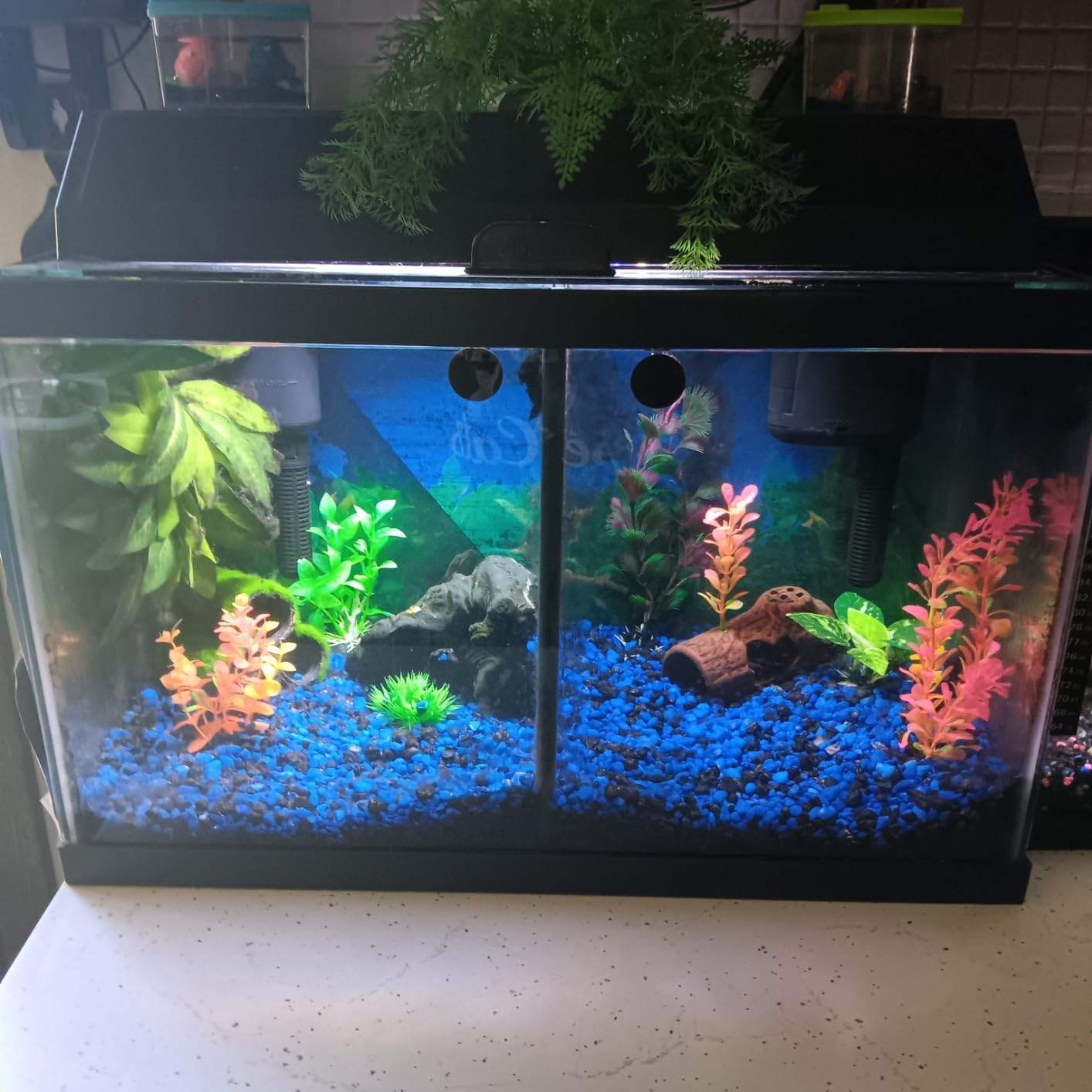 Tetra Whisper IQ 300 GPH Power Filter For Aquariums customer photo 1