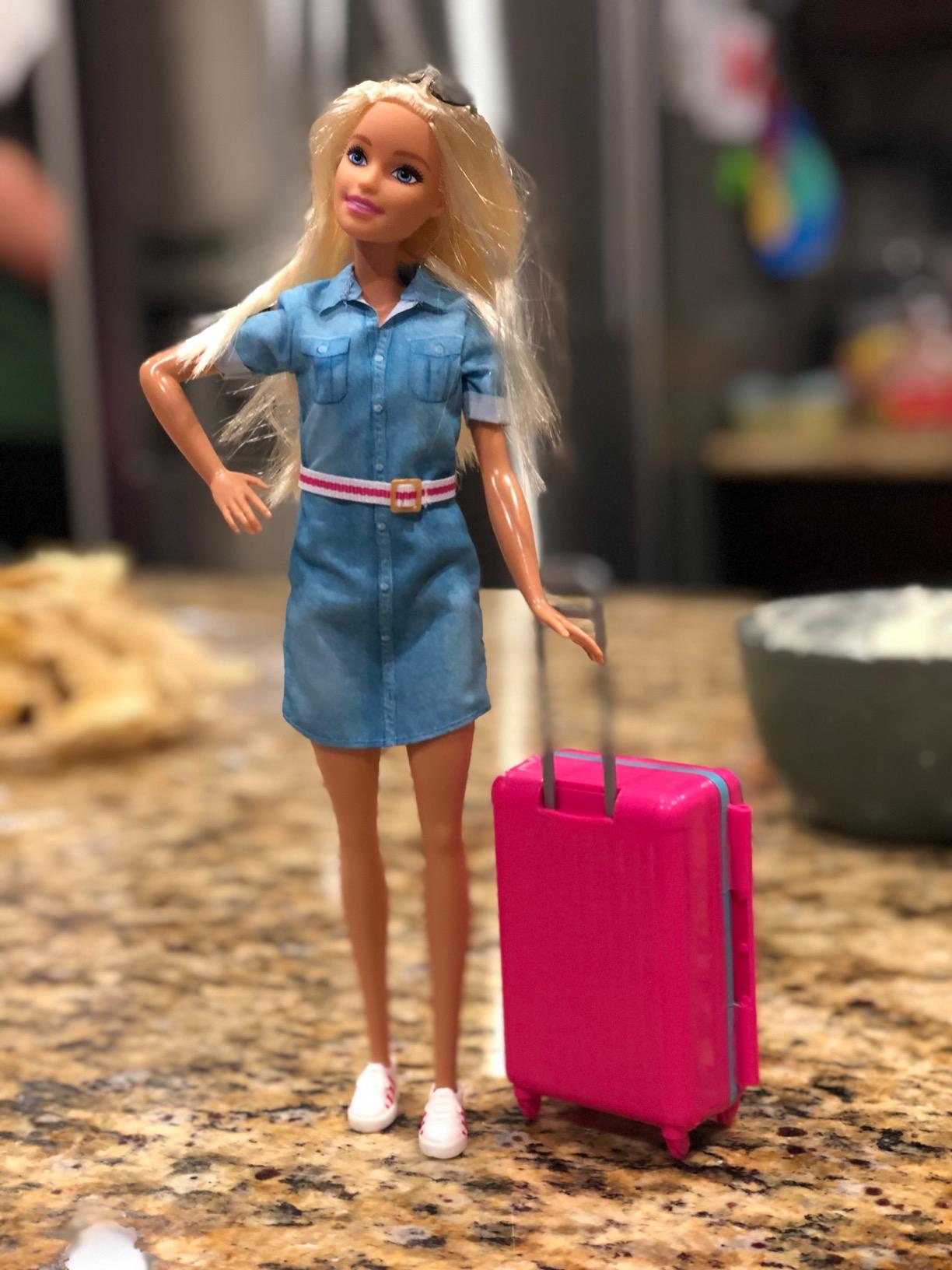 Barbie Dreamhouse Adventures Doll & Accessories, Travel Set with Blonde Fashion Doll, Puppy & 10+ Pieces, Suitcase Opens & Closes customer photo 2