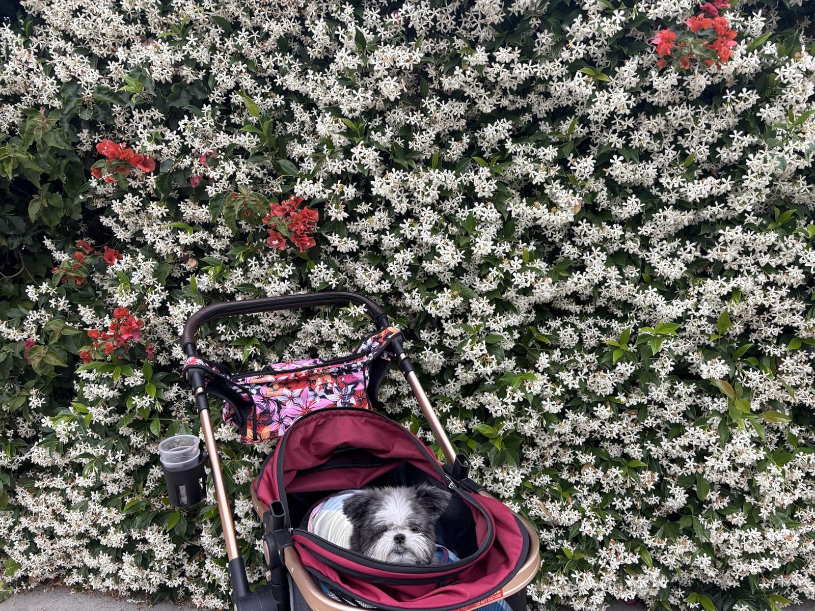 Momcozy Universal Stroller Organizer with Insulated Cup Holder customer photo 1