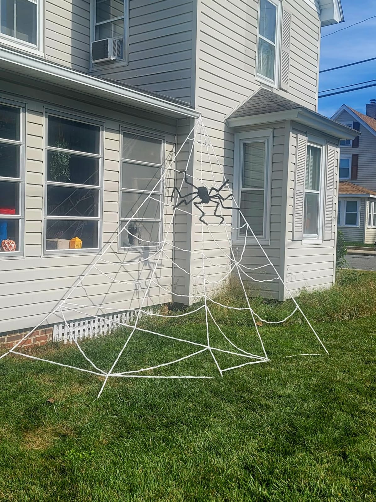 OCATO Spider Web and Spider customer photo 2
