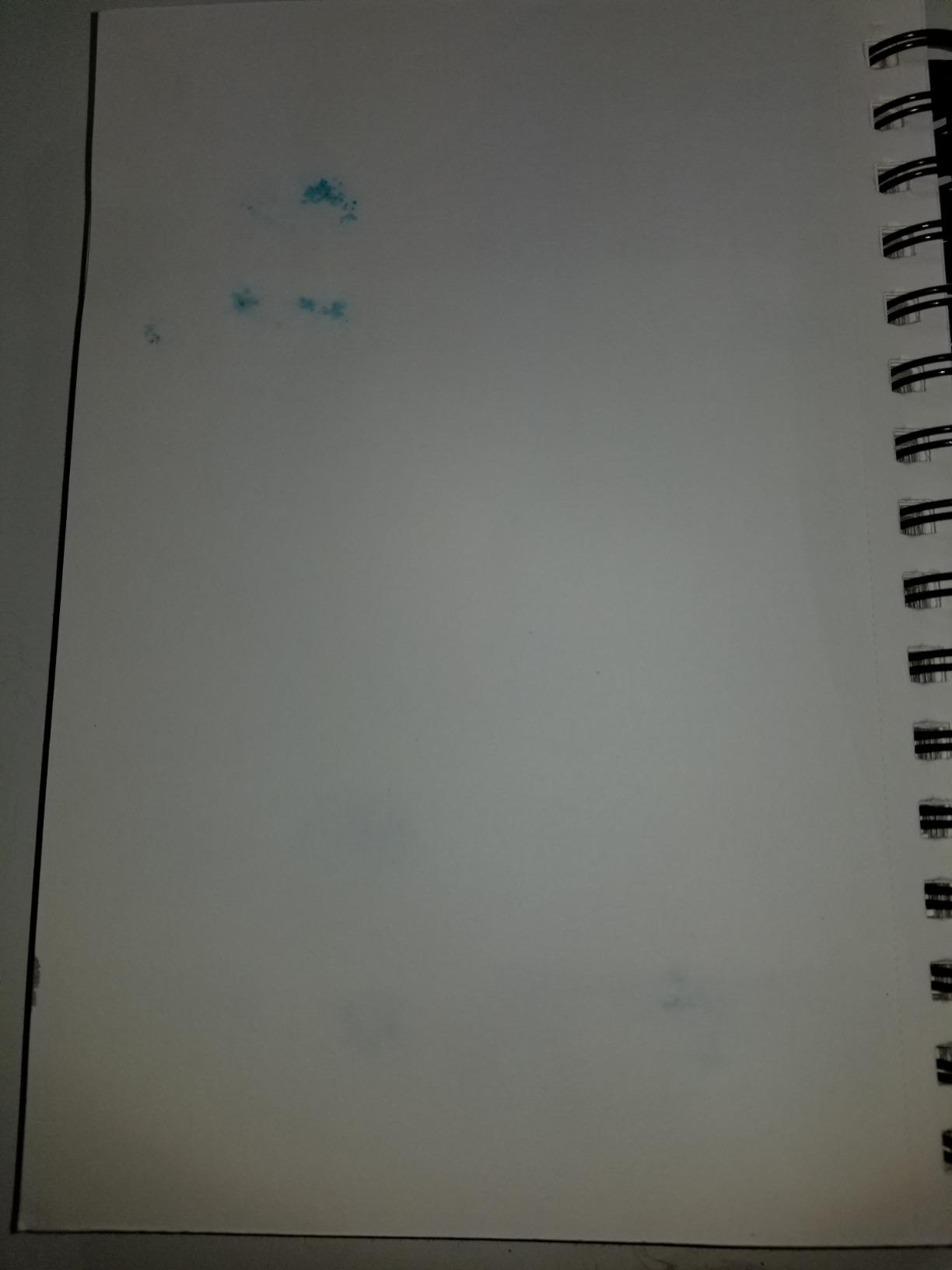 ARTEZA Watercolor Sketchbooks, 9 x 12 in, Spiral, 2 Pack, 32 Sheets Each customer photo 2
