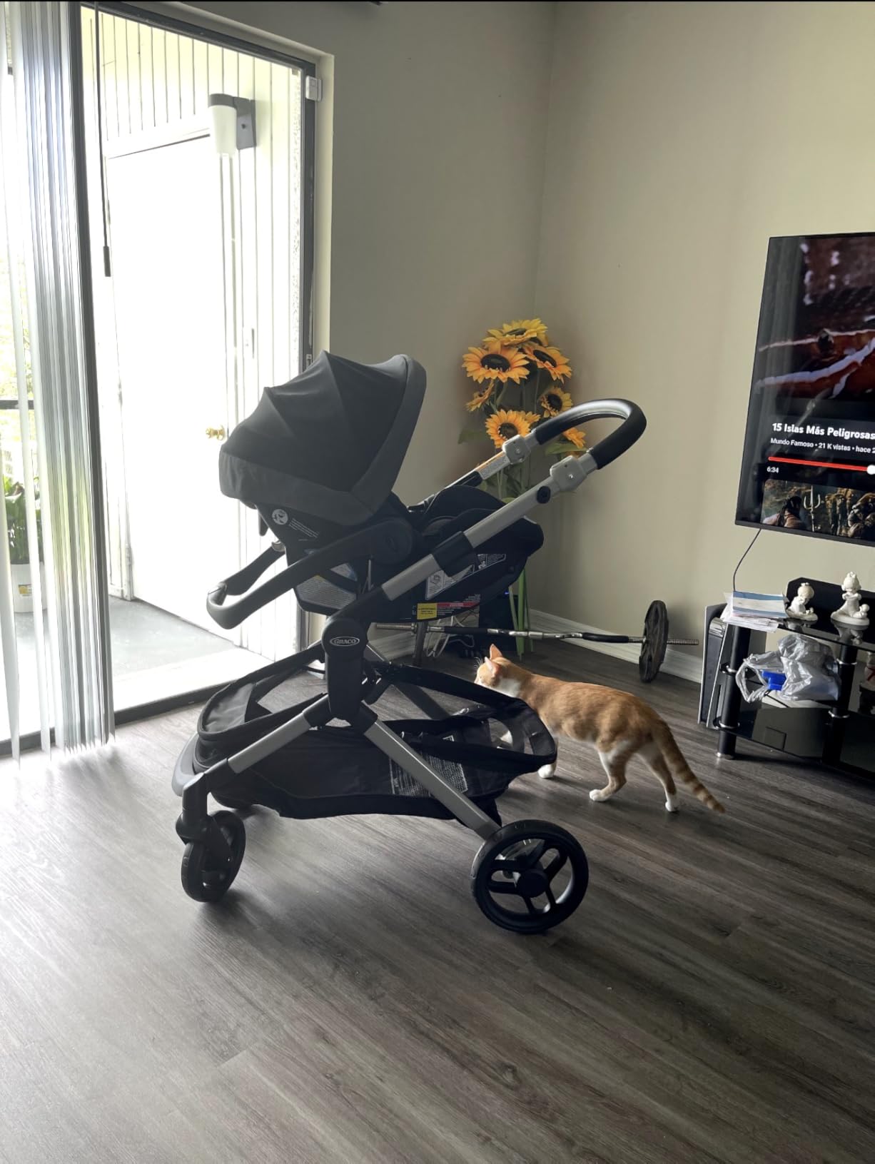 Graco Modes Nest 3-in-1 Travel System (Stroller & Car Seat), Bayfield customer photo 1