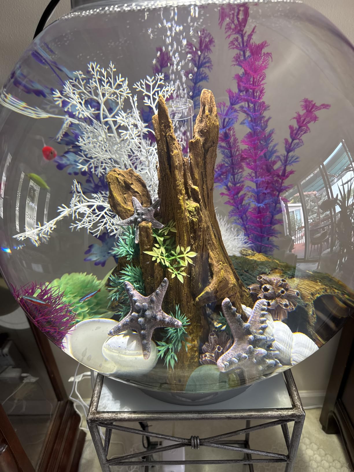 biOrb Classic 15 Acrylic 4-Gallon Aquarium with White LED Lights Modern Compact Tank for Tabletop or Desktop Display, Silver-Trimmed Tank customer photo 1