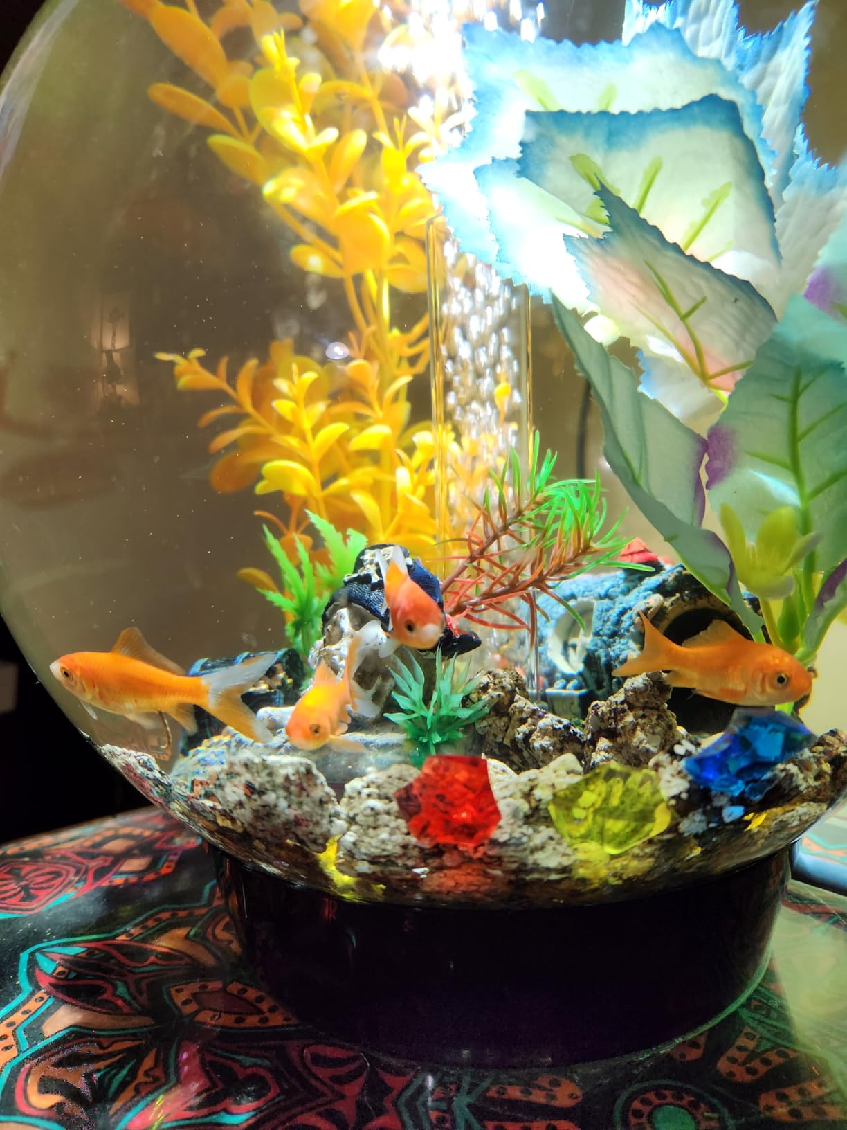 biOrb Classic 15 Acrylic 4-Gallon Aquarium with White LED Lights Modern Compact Tank for Tabletop or Desktop Display, Silver-Trimmed Tank customer photo 2