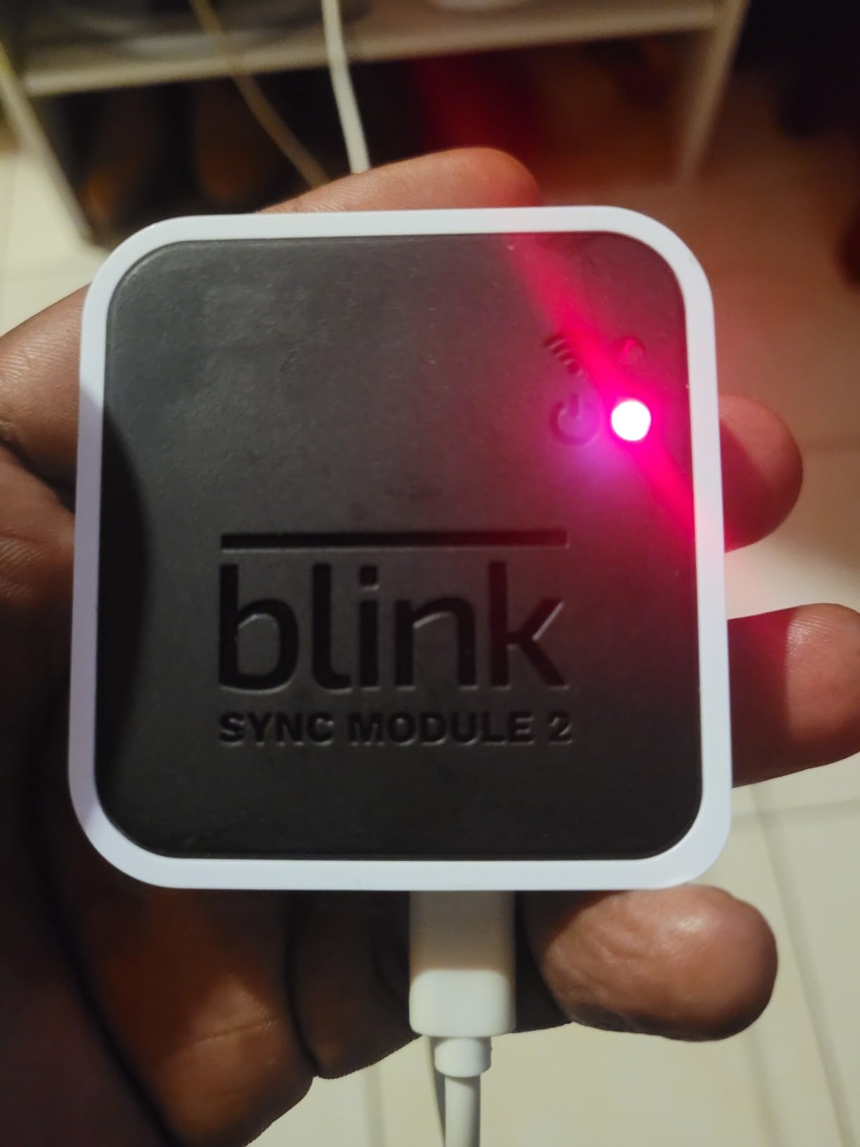 Blink Add-On Sync Module 2 customer photo 2