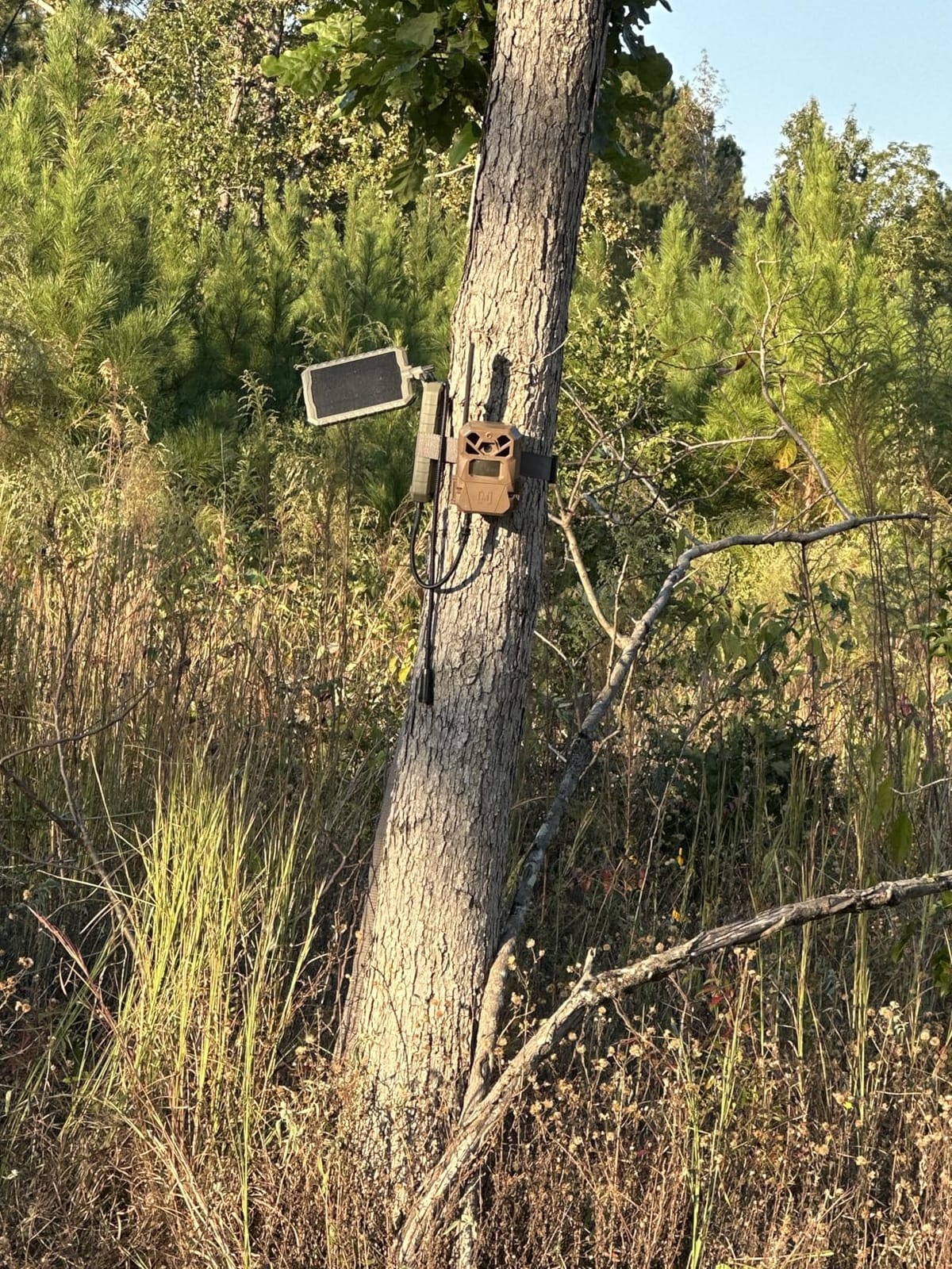 Stealth CAM Sol-Pak Solar Battery Pack, 12V Solar Power Panel, Compatible customer photo 1