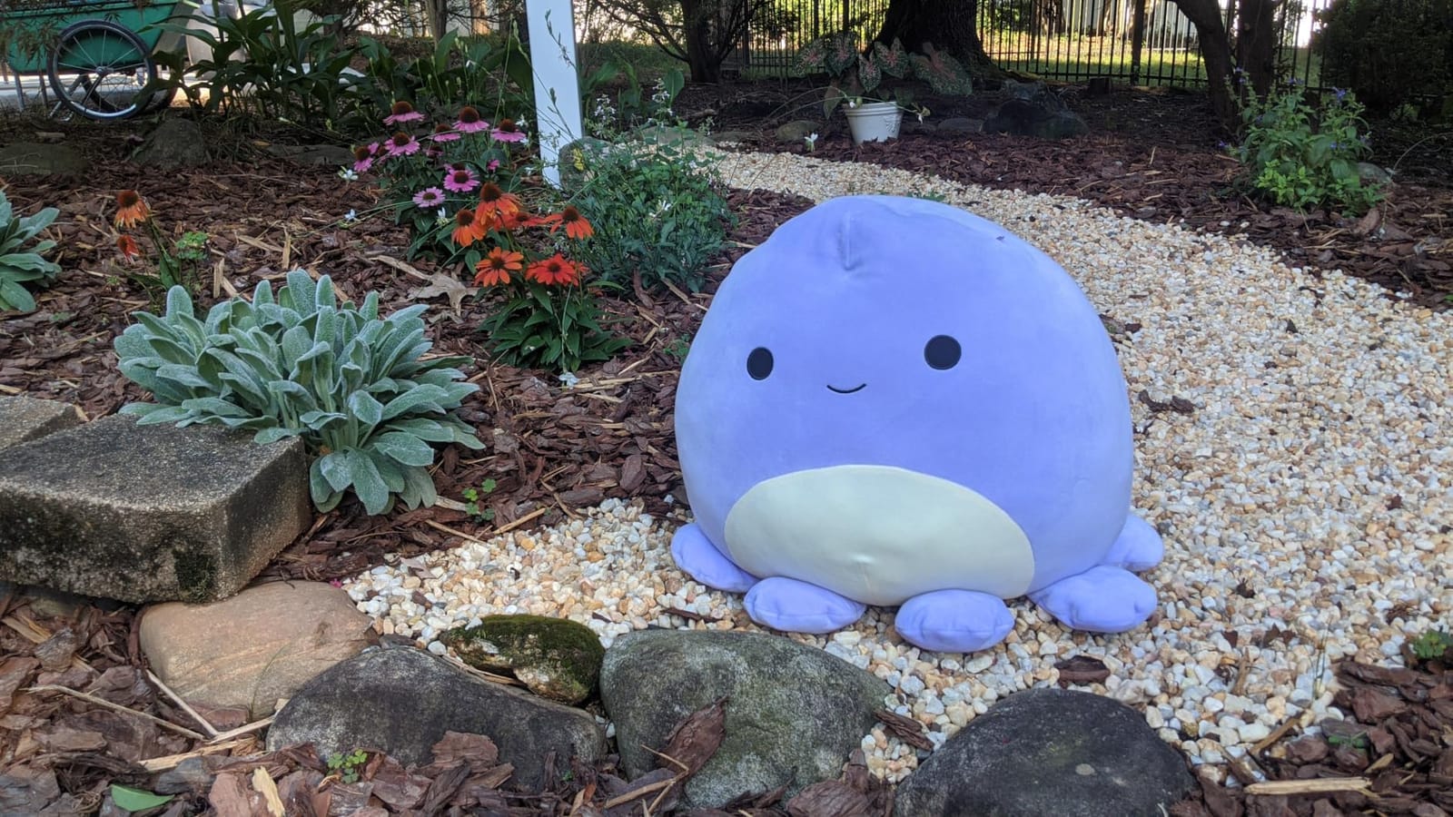Squishmallows Anya Caticorn Mermaid customer photo 2