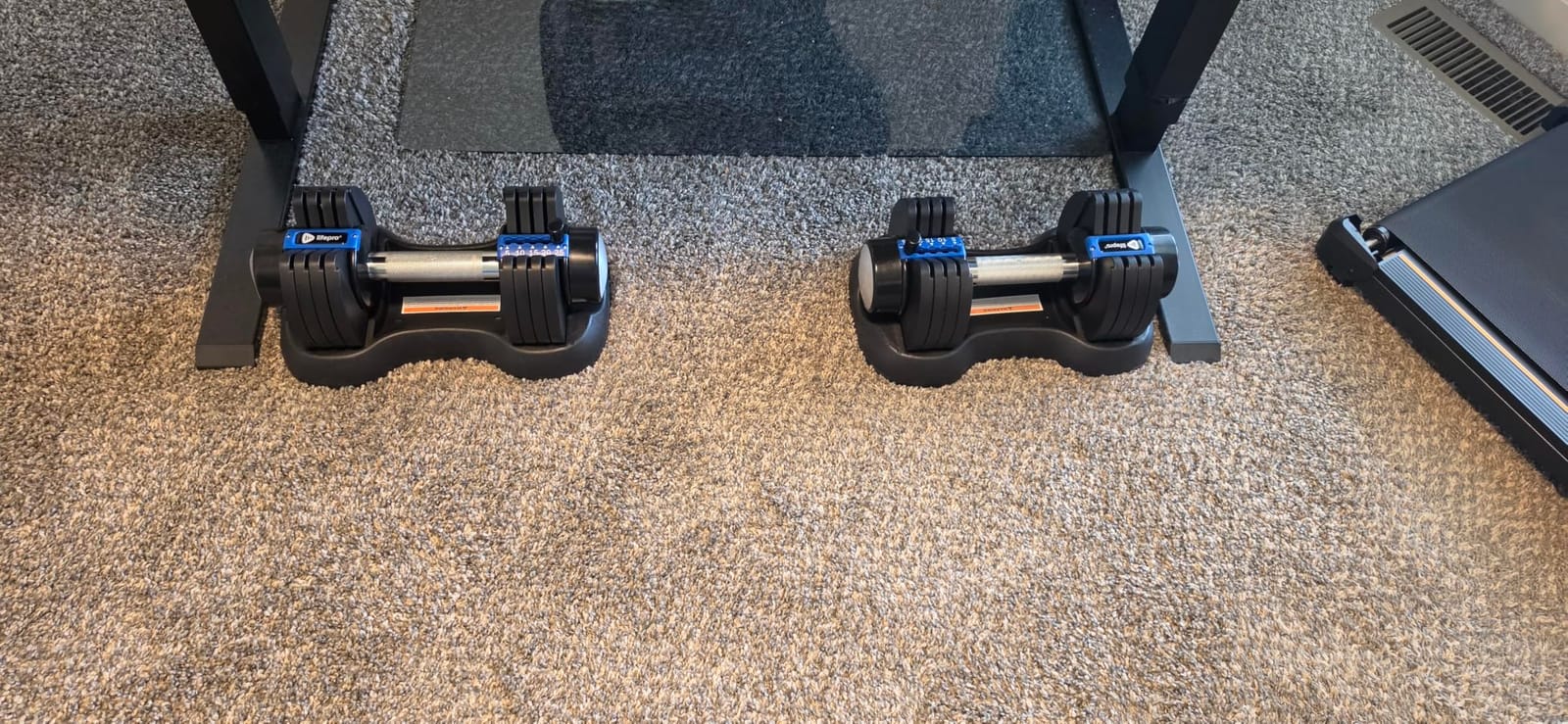 Lifepro Adjustable Dumbbells customer photo 1