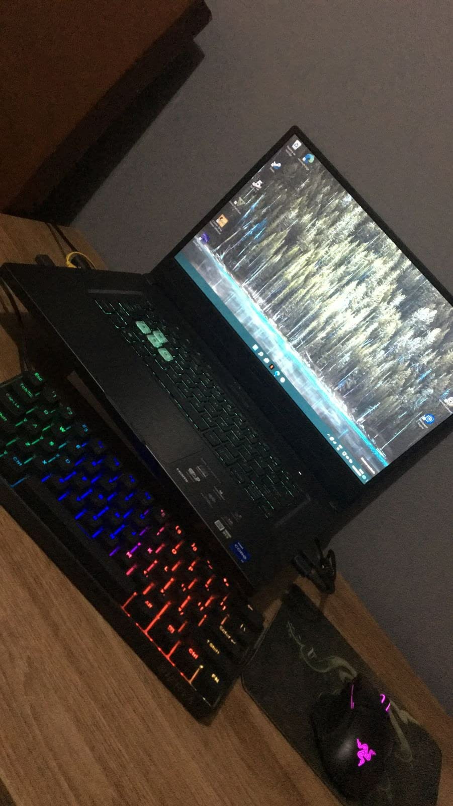 ASUS TUF Dash 15 customer photo 2