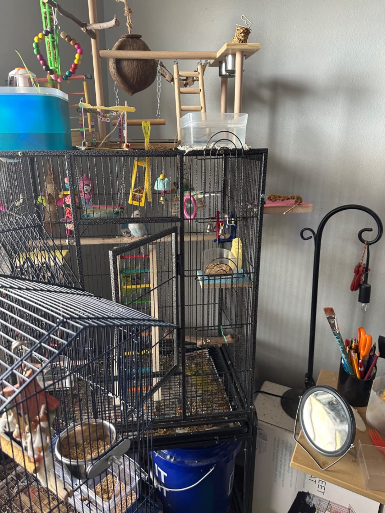 Hamiledyi Bird Playground Parrots Play Stand Natural Wooden Parrot Perch Gym Playpen Pet Parakeet Ladders with Feeder Cups for Cockatoo Conure Cockatiel Cage Accessories Exercise Toy (Include a Tray) customer photo 1