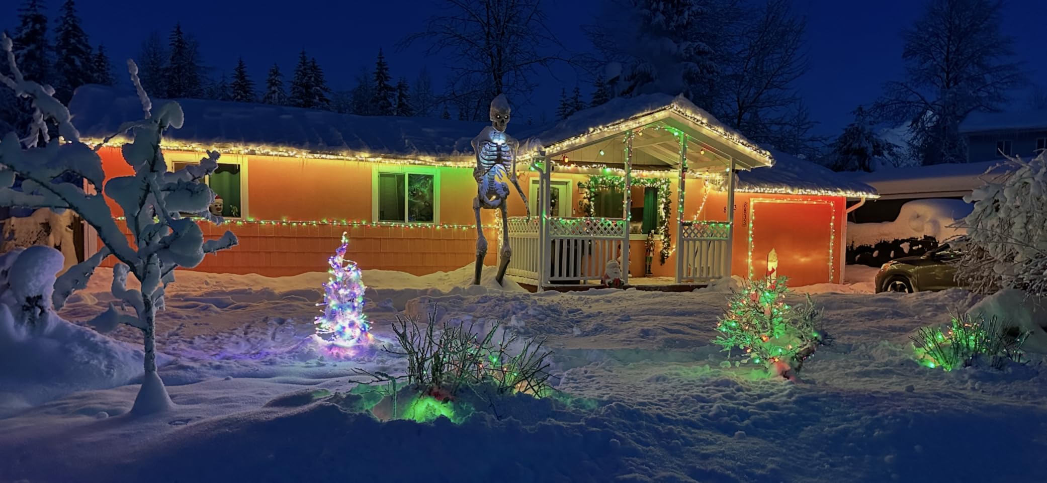 Brizled 240 LED String Lights customer photo 1
