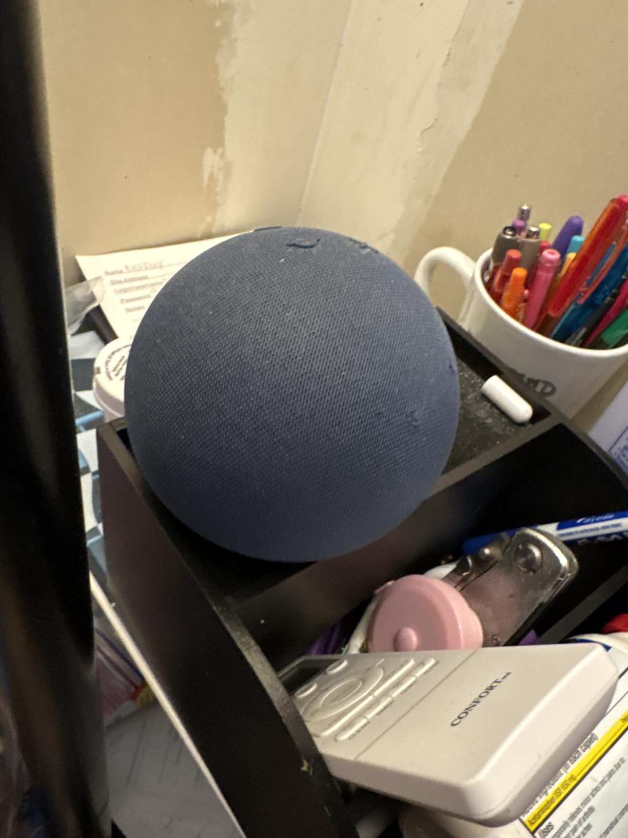 Echo Dot customer photo 2