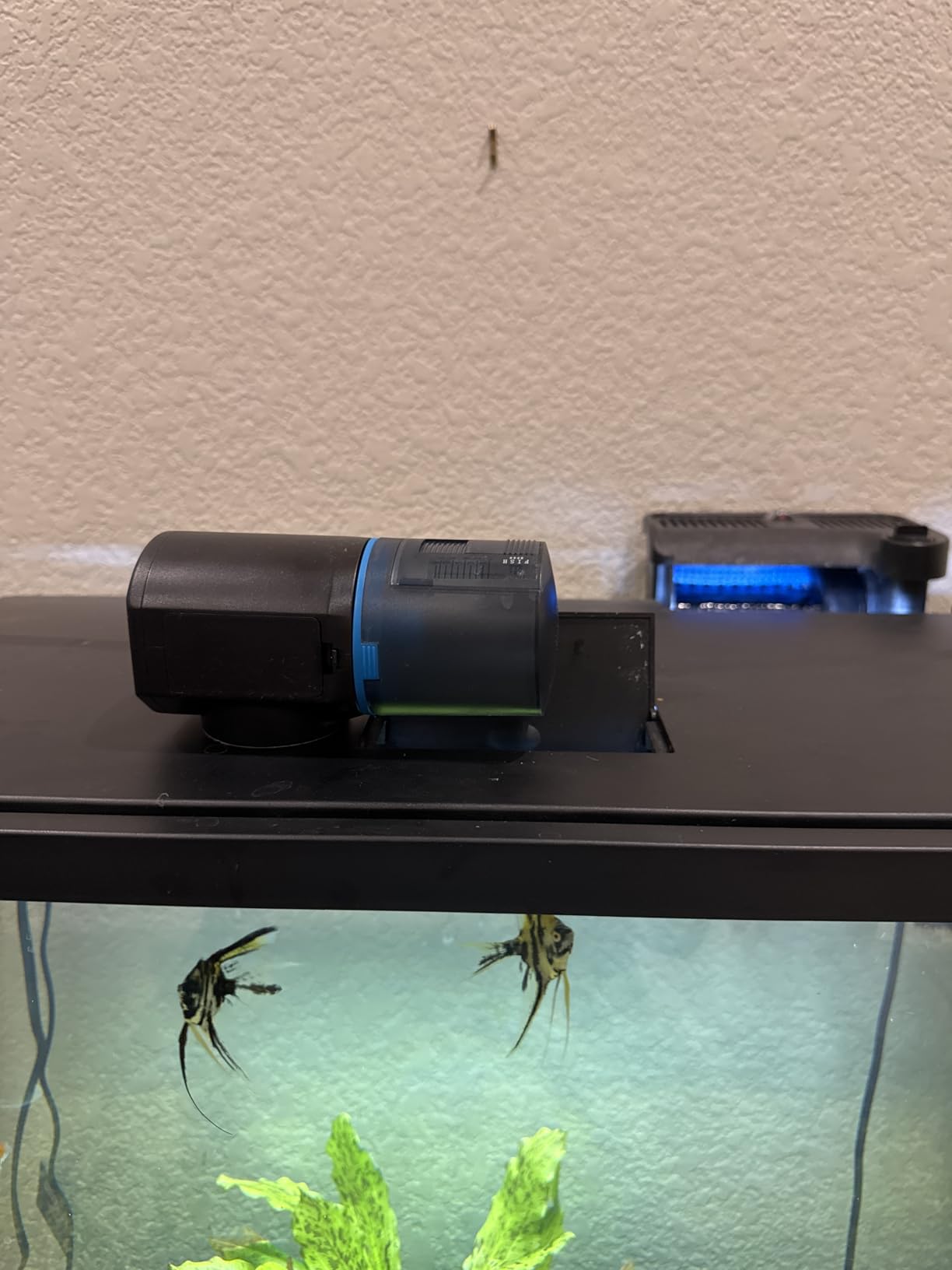FISHNOSH Automatic Fish Feeder for Aquarium - New Generation 2026, Auto Food Dispenser with Timer for Small Tank, Big Aquariums & Pond (Blue) customer photo 1
