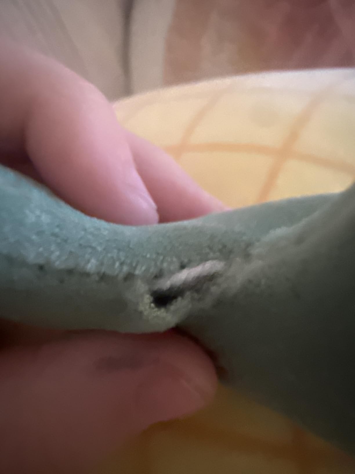 Squishmallows Maui Yellow Pineapple customer photo 1