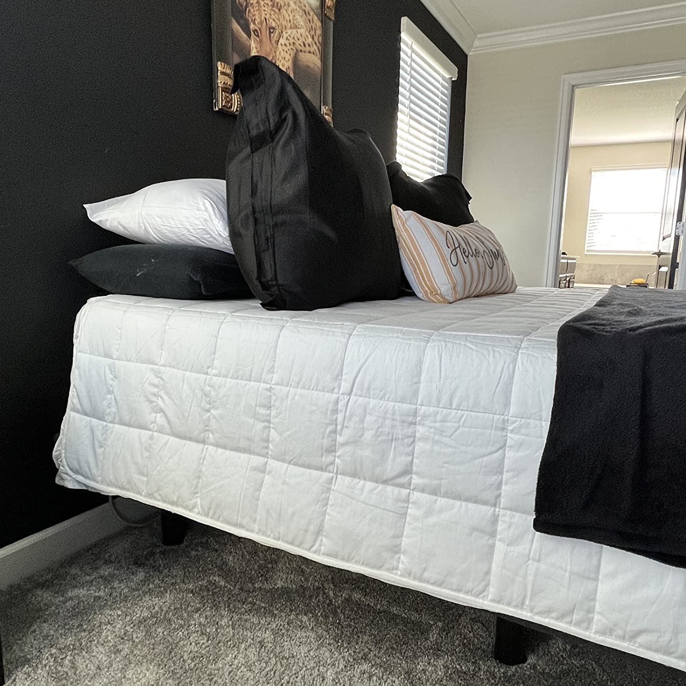 HomeSmart Queen Size Weighted Blanket 30 lbs - Breathable Ultra Soft Fabric customer photo 2
