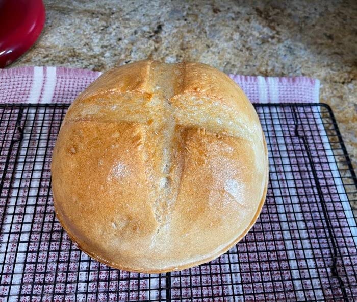 Le Creuset Bread Oven customer photo 1