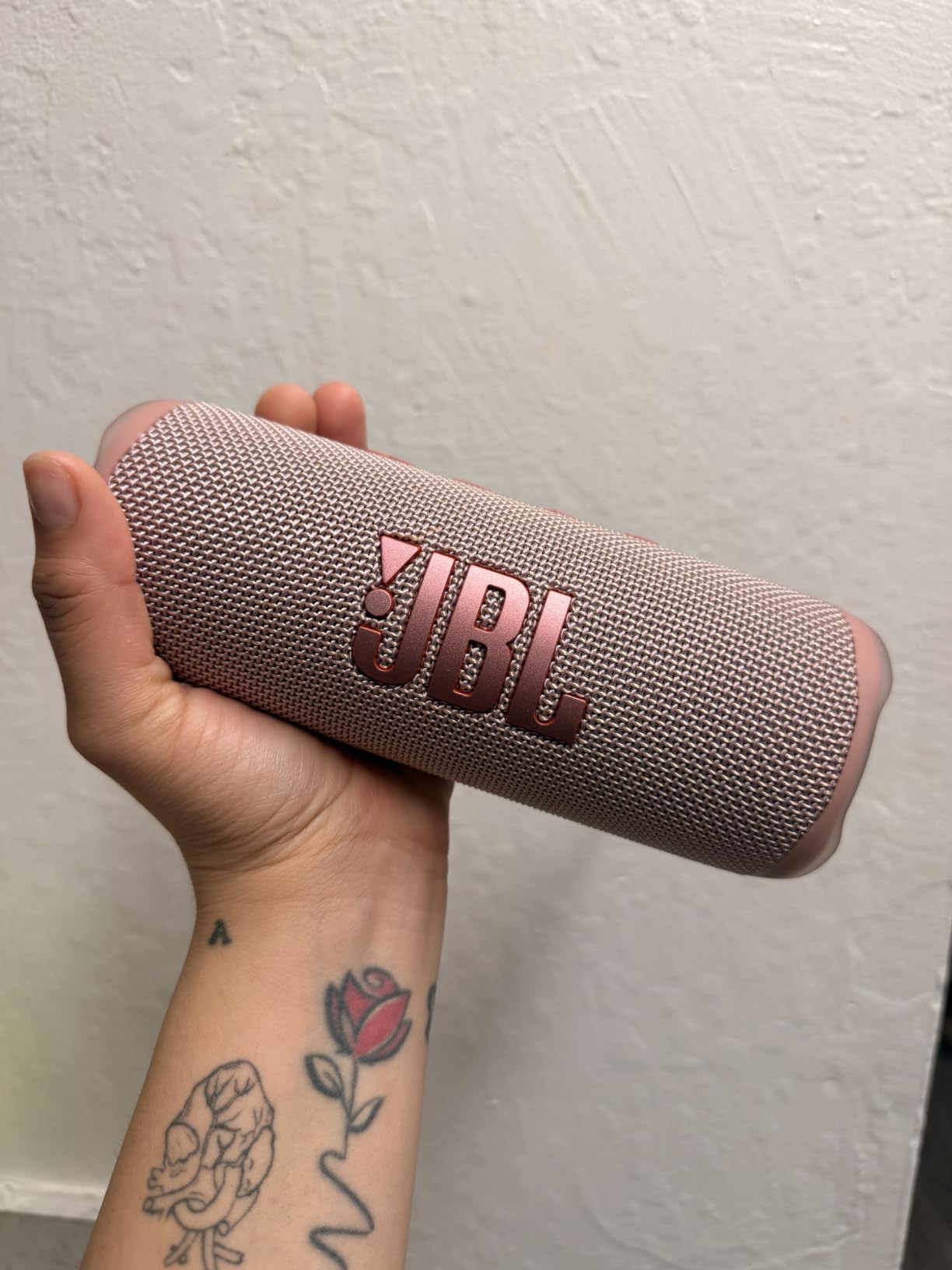 JBL Flip 6 customer photo 1