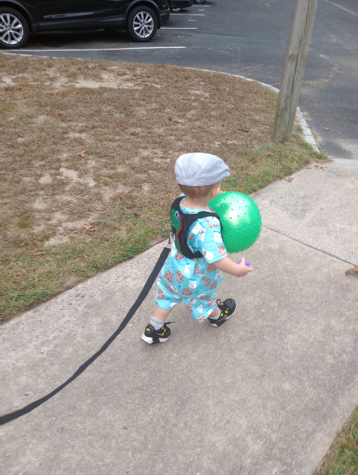 Toddler Leash-Baby Walking Safty Harness and Child Anti Lost Wrist Link for Girls/Boys Travel (Black) customer photo 1