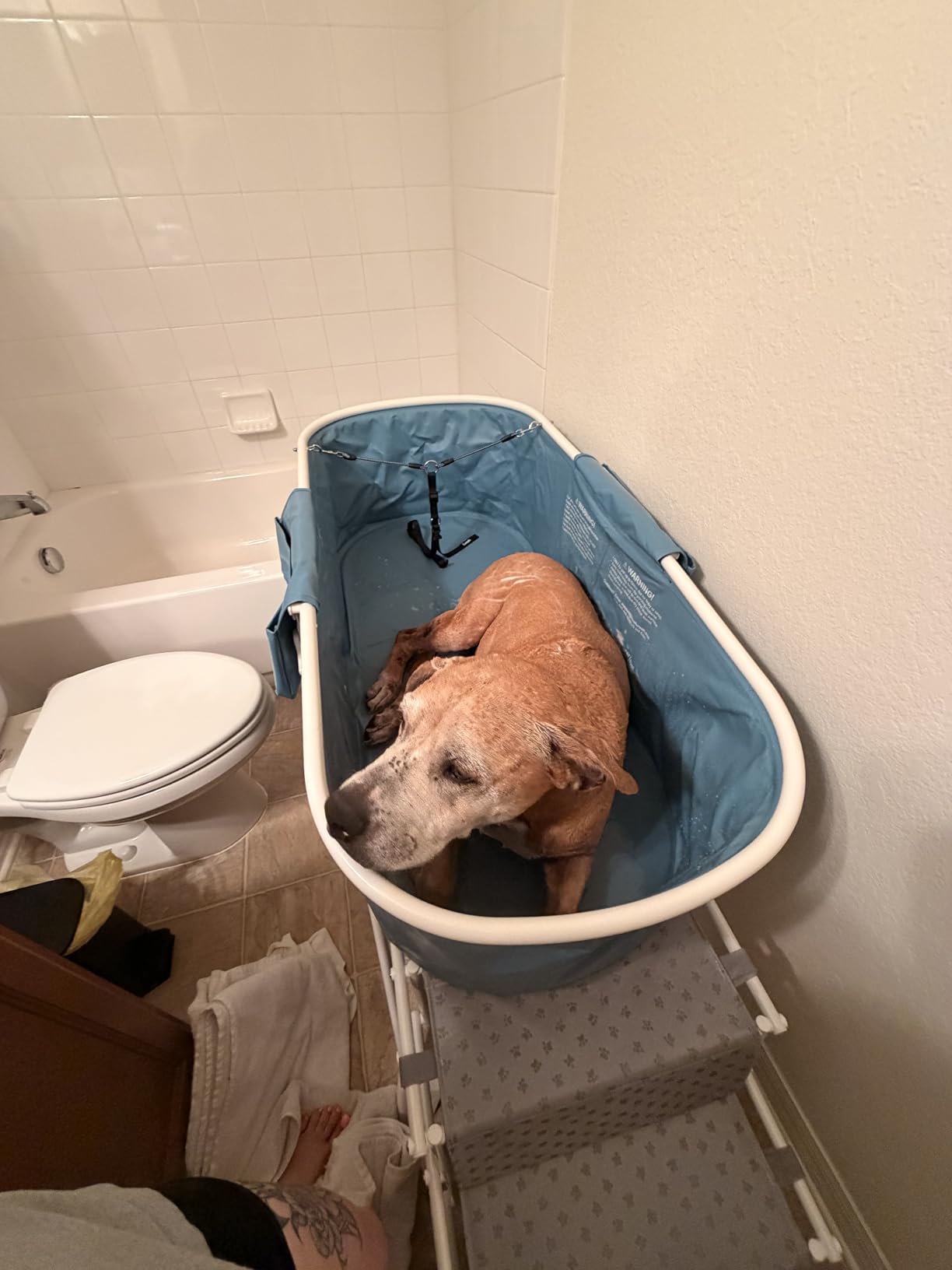 Furesh Foldable Dog Washing Station for Large Dogs with Stairs customer photo 2