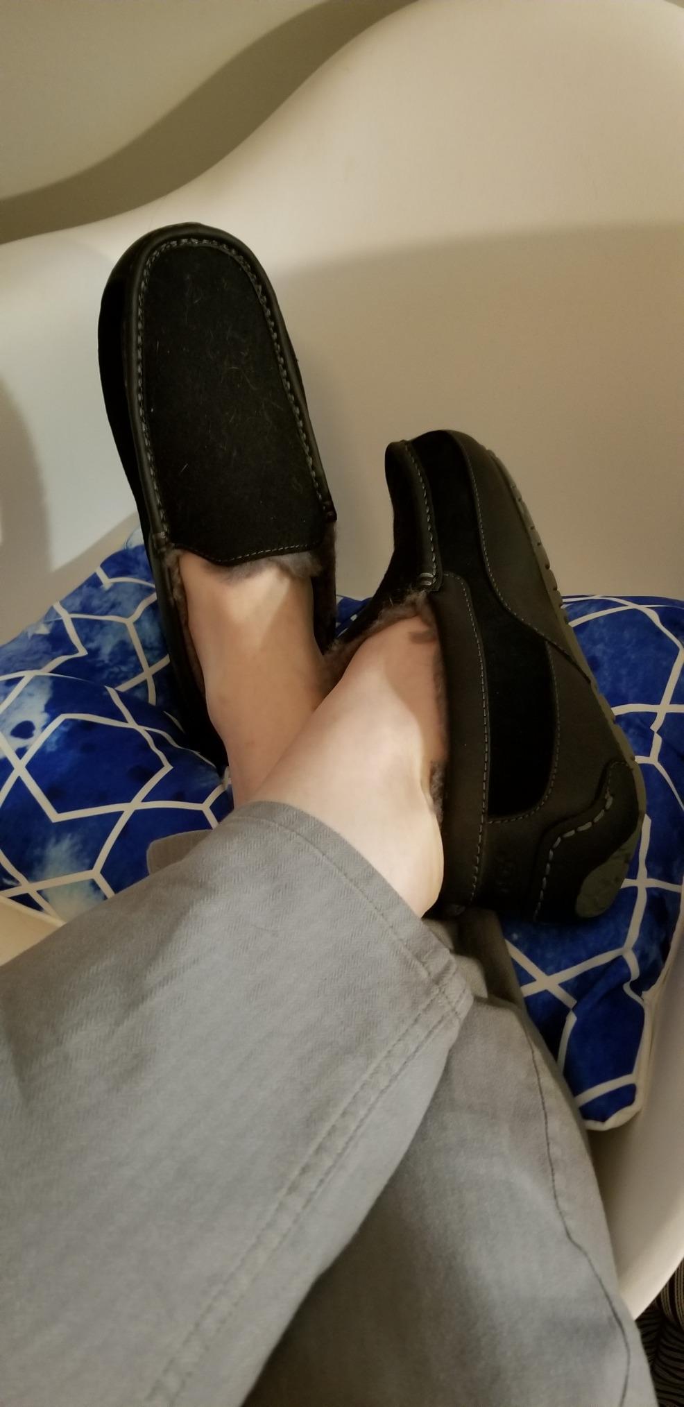 UGG Men's Ascot Slipper customer photo 1