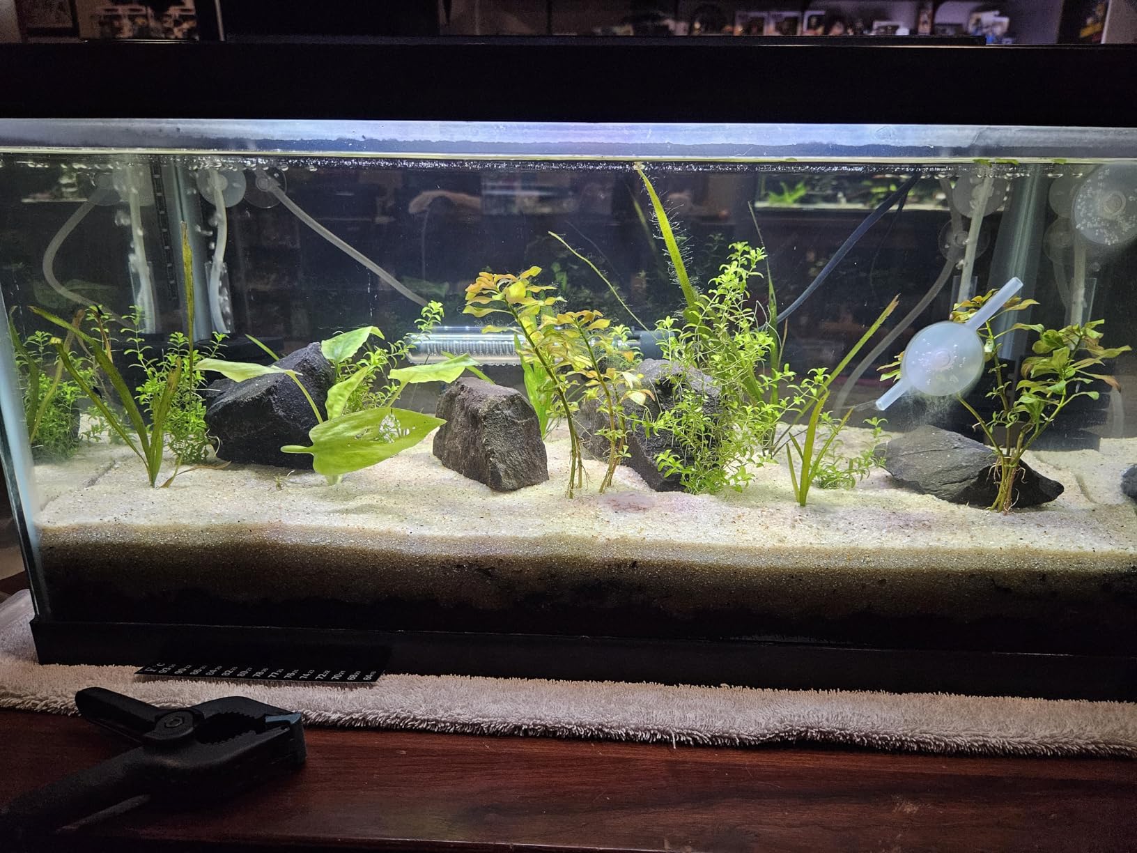 NICREW C10 Plant Aquarium Light, 12-18 in, 9W, Full Spectrum with Timer customer photo 2