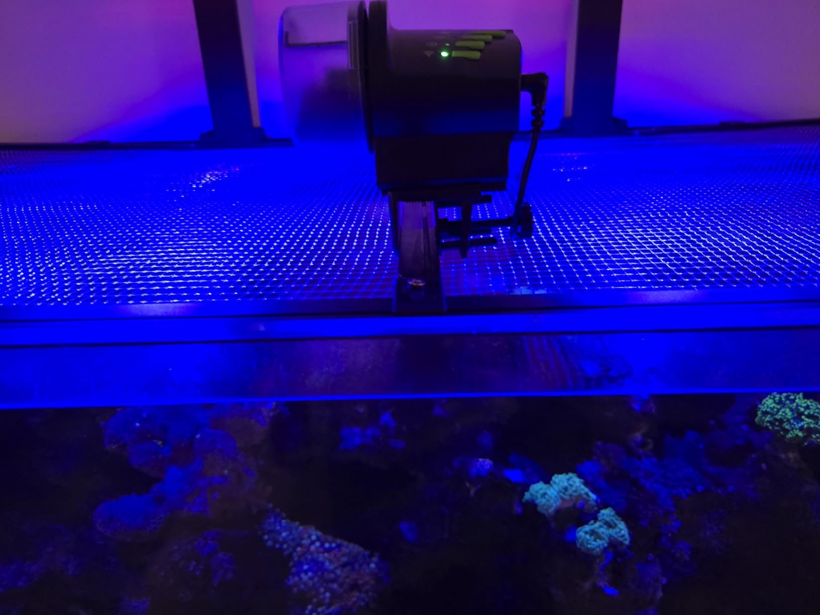 DXOPHIEX WiFi Fish Feeder Automatic Fish Feeder Automatic Dispenser customer photo 1